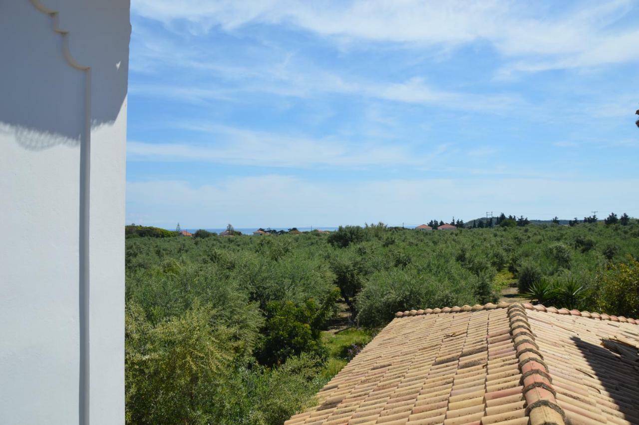 Anemona Apartments And Studios Vasilikí Екстериор снимка