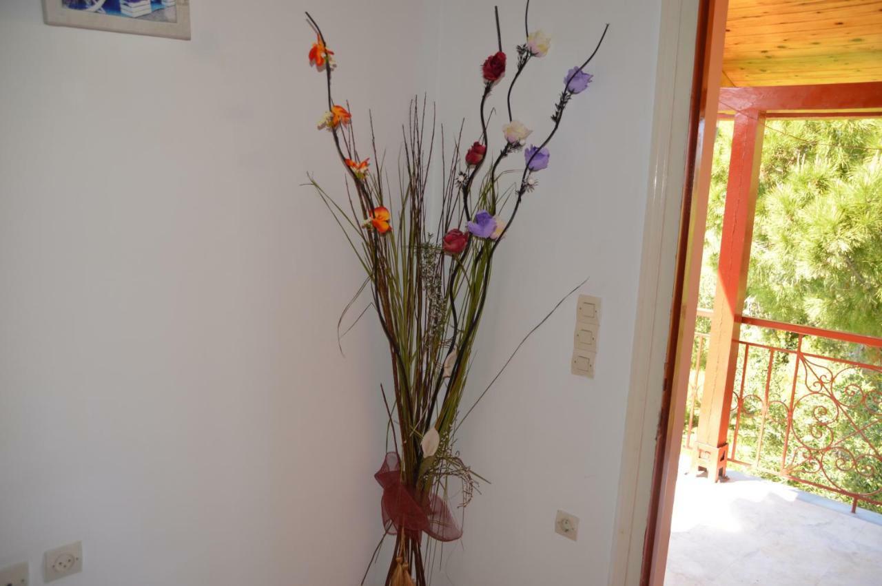 Anemona Apartments And Studios Vasilikí Екстериор снимка