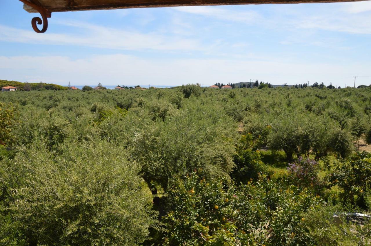 Anemona Apartments And Studios Vasilikí Екстериор снимка