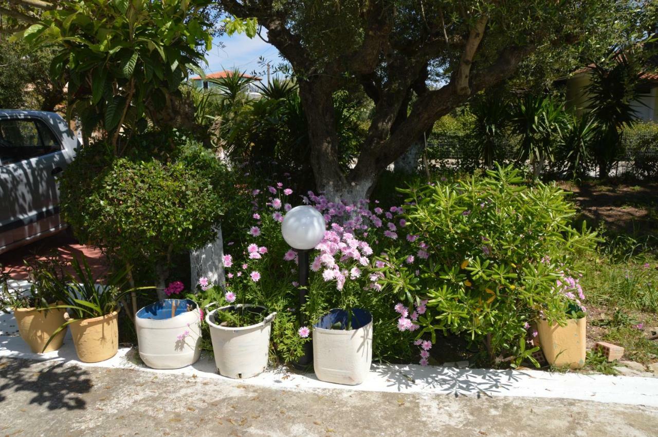 Anemona Apartments And Studios Vasilikí Екстериор снимка